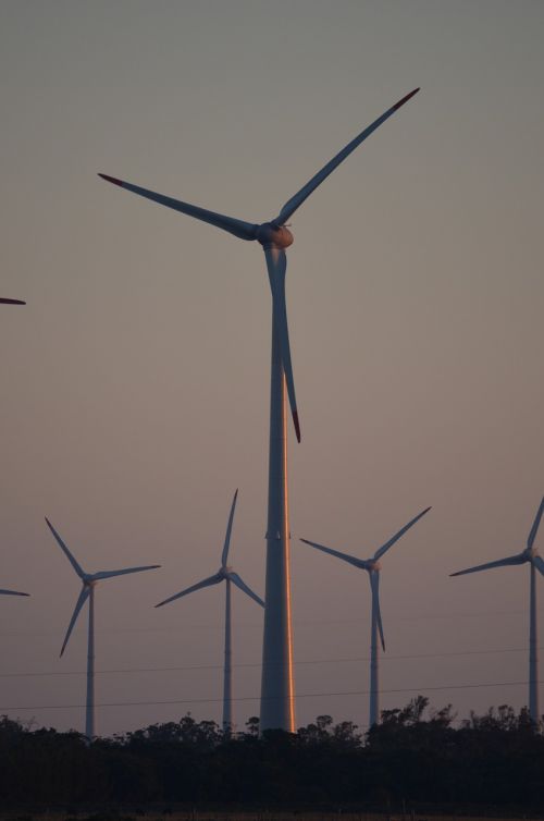 wind farm environment wind