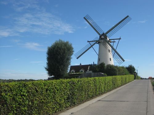 wind mill summer landscape
