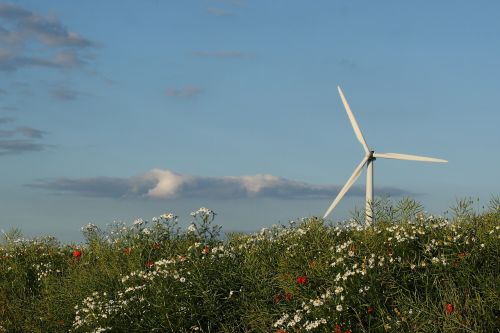 wind turbine landscape summer