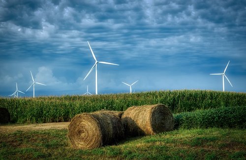 wind turbine  green energy  ecological