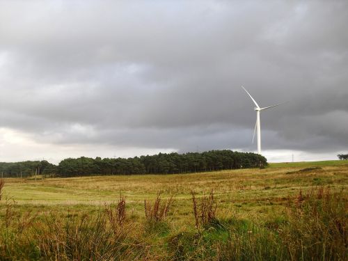 wind turbine woods field