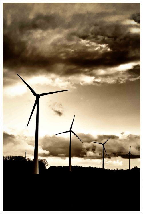 wind turbines black and white b w