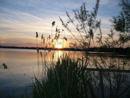 windebyer noor abendstimmung water