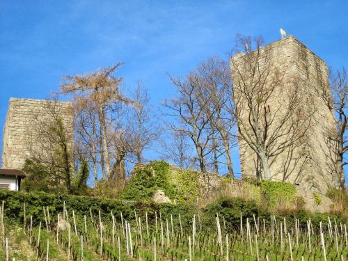 windeck castle bühl swim