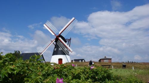 windmill north sea römö