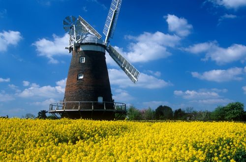 windmill yellow blue