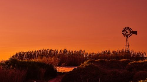 windmill sunset reeds