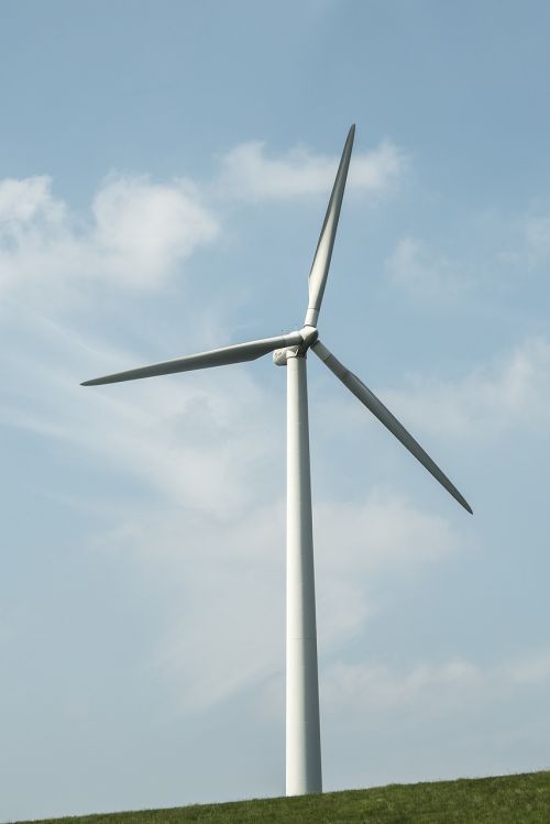 windmill dutch green