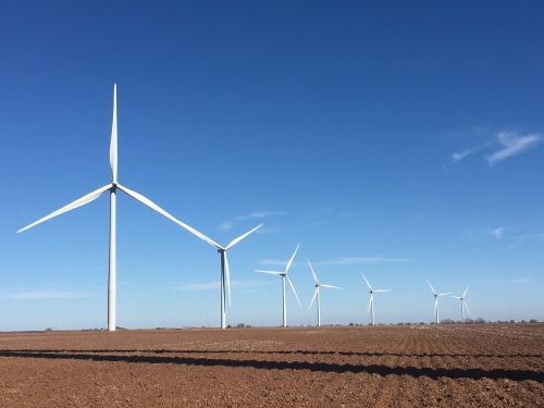 windmill farm texas