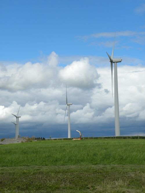 windmill field farm
