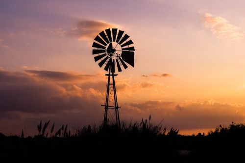 windmill sunset reeds