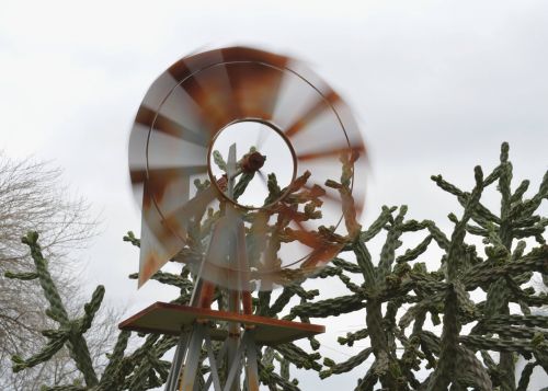 windmill cactus motion