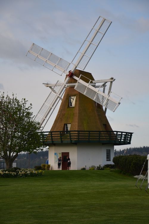 windmill outdoor grass