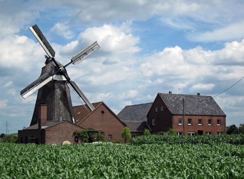 windmill donsbrüggen farm