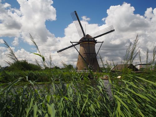 windmill forward rainy