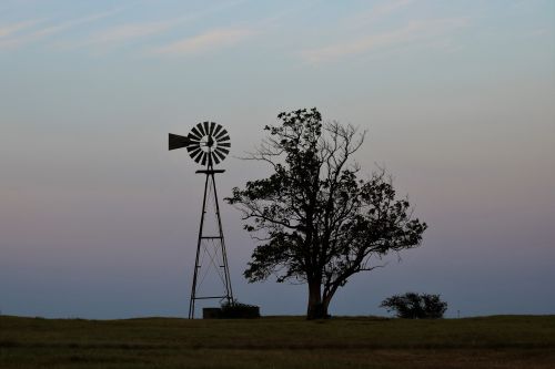 Windmill And Tree At Sunset