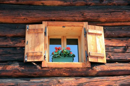 window shutter shutters