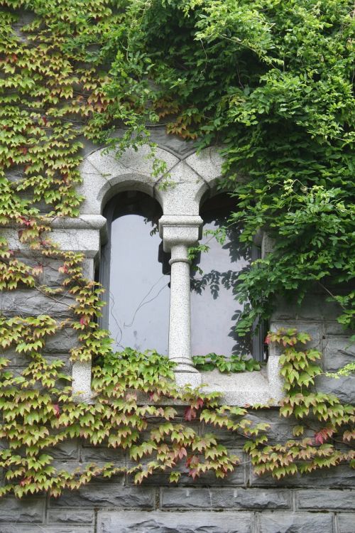 window stone architecture