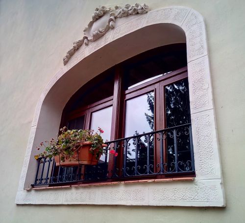 window flowerpot facade