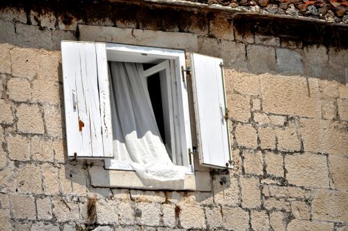 window dalmatian window riva