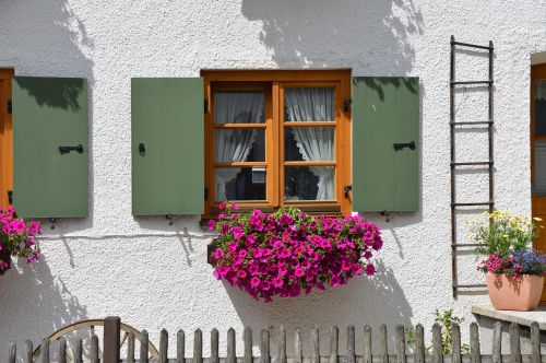 flower window flower window