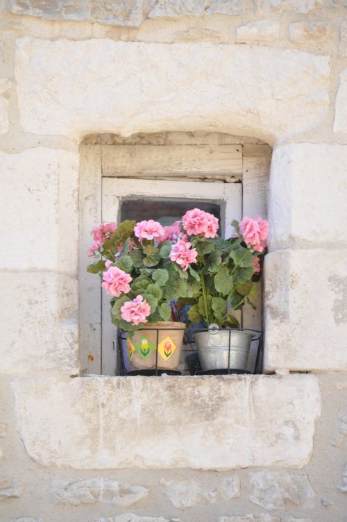 window hauswand flowers