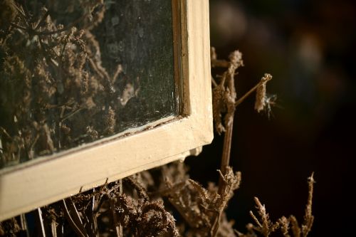 window glass see through