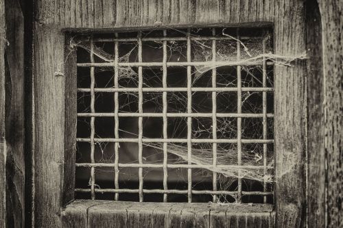 window grid door