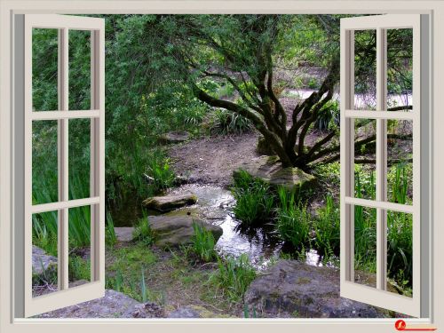 window garden window frames