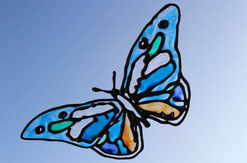window color butterfly