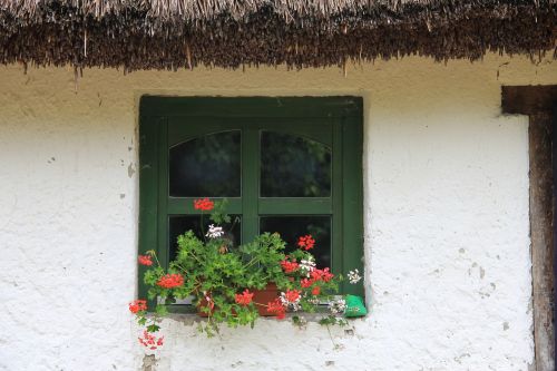 window thatched roof flower