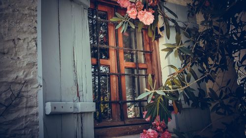 window house garden