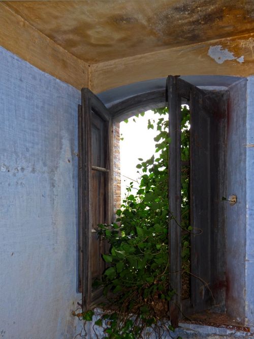 window abandoned old