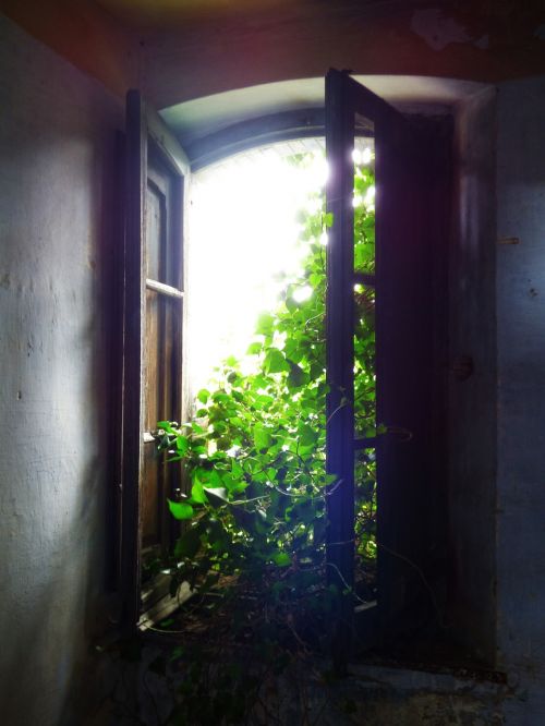 window old abandoned