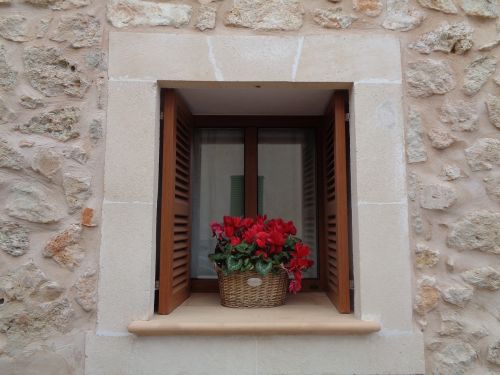 window flowers basket