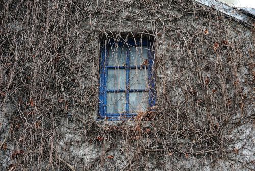 window house wall