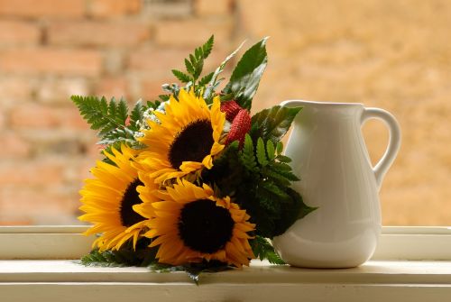 window sunflower pitcher
