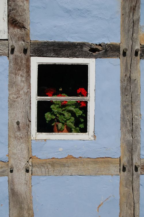 window old window facade