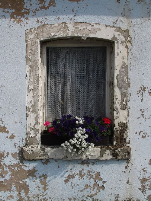 window flower old window