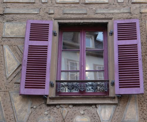 window shutters purple