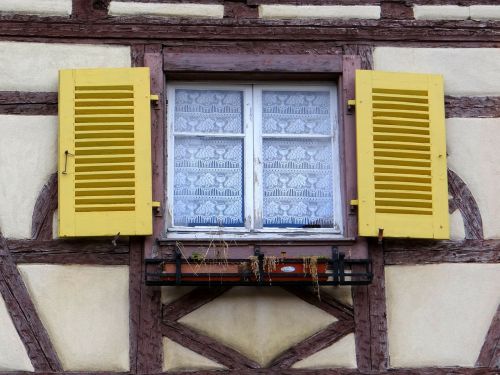 window shutters yellow
