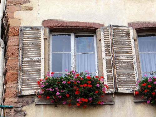 window shutters flowers