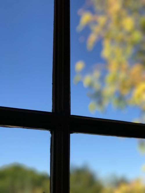 window depth of field interior