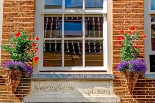 window flowers wall