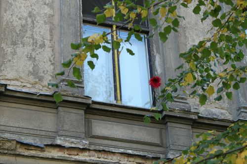window old window home