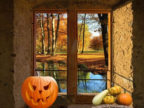 window autumn pumpkin