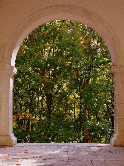 window trees arc