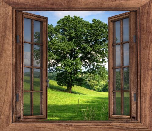 window view tree