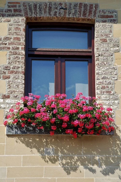 window  house  architecture