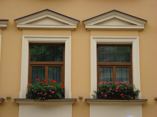 window  geranium  house